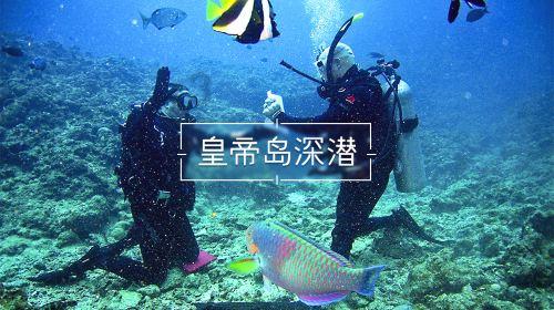 药店挂证需要原件不红迪网-追寻激情、分享快乐的社交平台